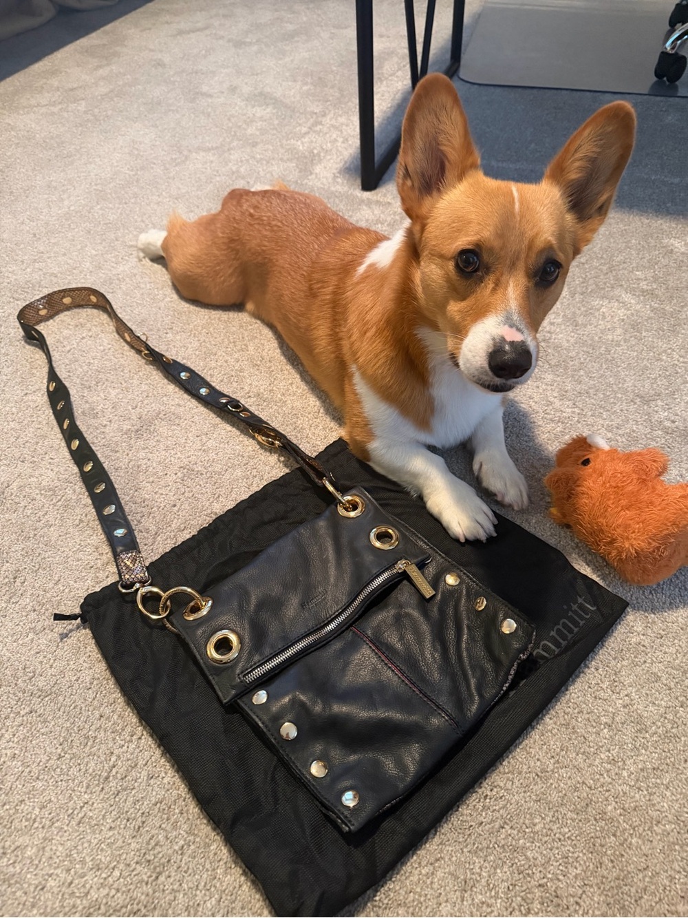 Hammit Los Angeles Crossbody |Black & Bronze Metallic Snakeskin | Gold Hardware